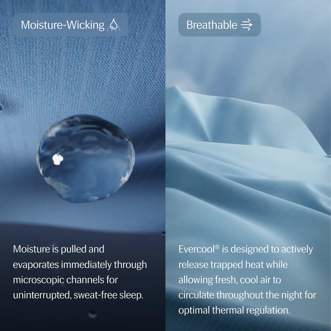 REST® | Edredón Refrescante EVERCOOL®| Midnight Blue
